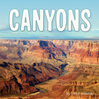 Knjiga Canyons Lisa J. Amstutz