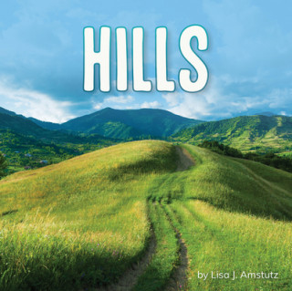 Knjiga Hills Amstutz