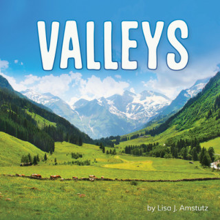 Knjiga Valleys Lisa J. Amstutz