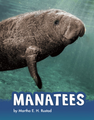Book Manatees Rustad