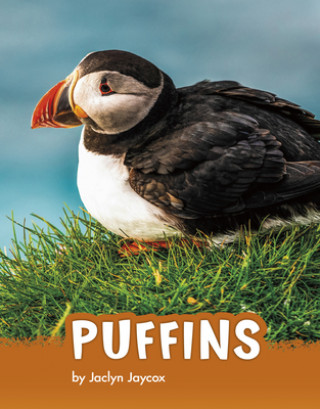 Βιβλίο Puffins Jaycox
