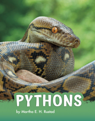 Knjiga Pythons Martha E. H. Rustad