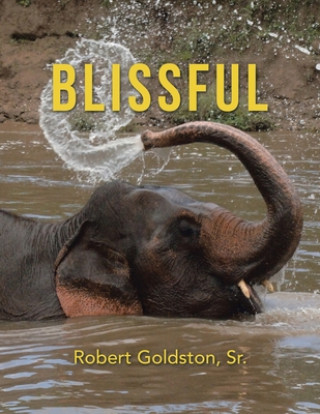 Knjiga Blissful Goldston  Robert  Sr.