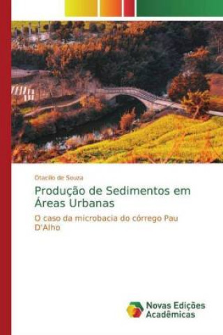 Knjiga Producao de Sedimentos em Areas Urbanas Otacilio de Souza