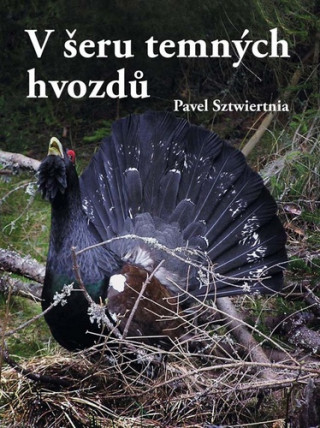 Könyv V šeru temných hvozdů Pavel Sztwiertnia