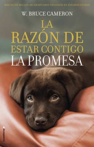 Kniha La Razón de Estar Contigo. La Promesa / A Dog's Promise 