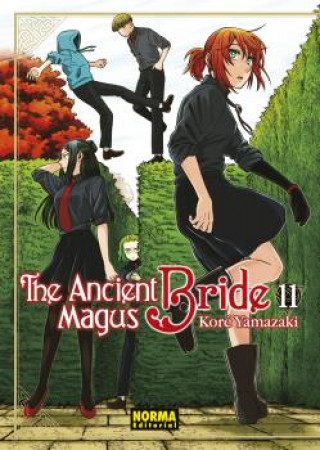 Kniha The Ancient Magus Bride 11 KORE YAMAZAKI