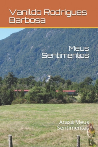 Knjiga Meus Sentimentos: Araxá Meus Sentimentos Vanildo Rodrigues Barbosa