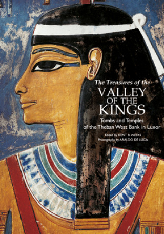 Книга Treasures of the Valley of the Kings Araldo De Luca