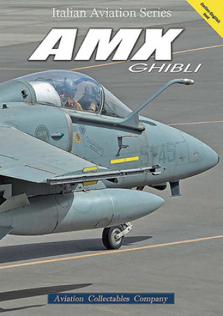 Buch Amx Ghibli Giancarlo Gastaldi
