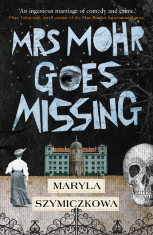 Kniha Mrs Mohr Goes Missing Antonia Lloyd-Jones