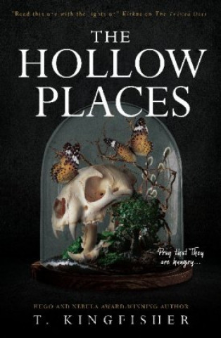 Könyv Hollow Places 