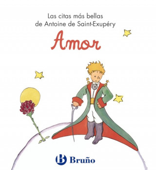 Βιβλίο Amor de Saint-Exupéry