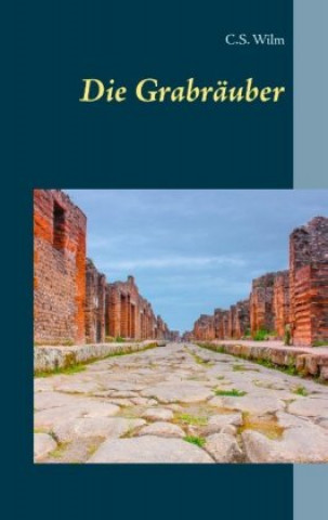 Knjiga Die Grabräuber 