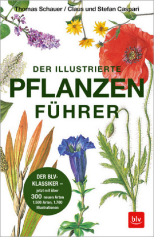 Kniha Der illustrierte Pflanzenführer Thomas Schauer