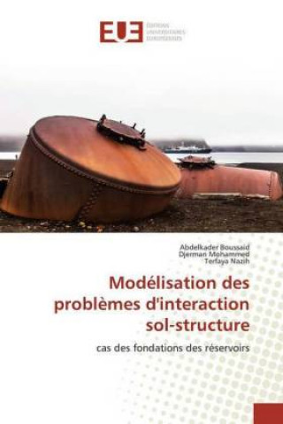 Knjiga Modélisation des probl?mes d'interaction sol-structure Djerman Mohammed