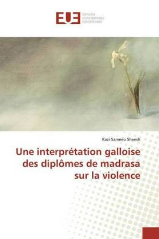 Boek Une interprétation galloise des diplômes de madrasa sur la violence Kazi Sheesh