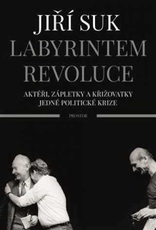 Kniha Labyrintem revoluce Jiří Suk