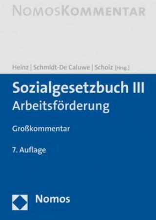 Kniha Sozialgesetzbuch III Andreas Heinz