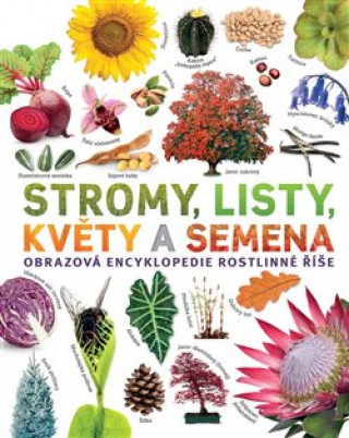 Könyv Stromy, listy, květy a semena 