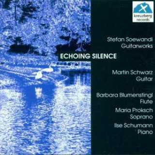 Audio Echoing Silence-Guitarwor 