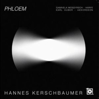 Audio Phloem 