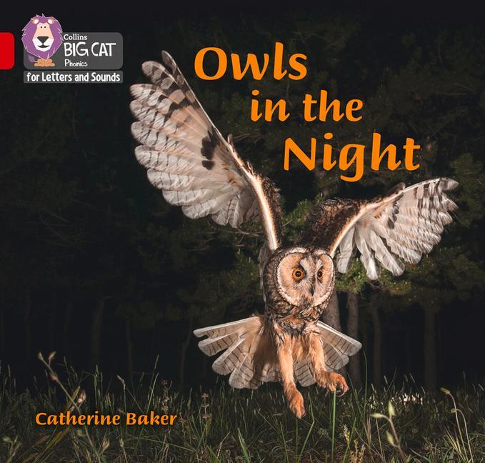 Buch Owls in the Night Catherine Baker