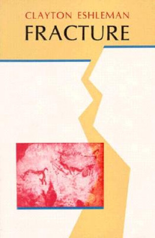 Knjiga Fracture 
