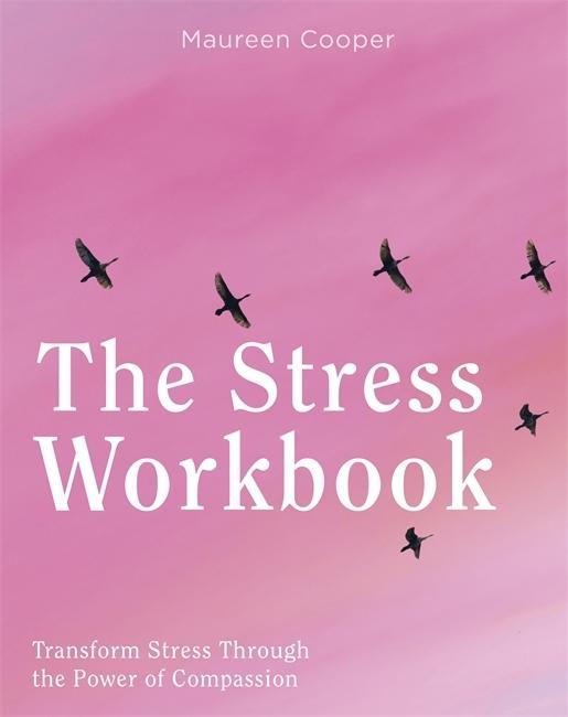 Libro Stress Workbook Maureen Cooper