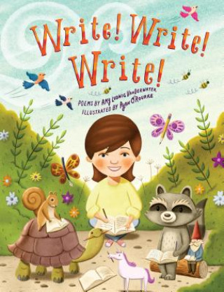 Knjiga Write! Write! Write! Ryan O'Rourke