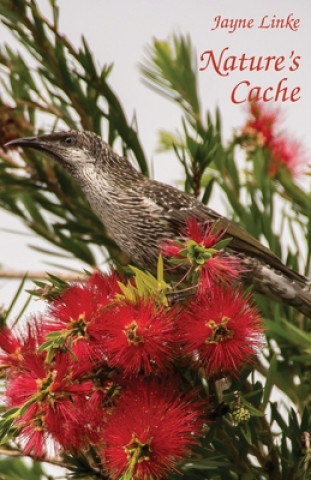 Knjiga Nature's Cache Jayne Linke