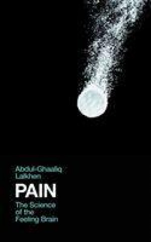 Könyv Pain Dr Abdul-Ghaaliq Lalkhen
