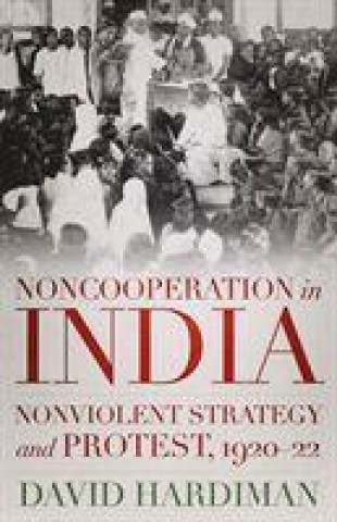 Livre Noncooperation in India David Hardiman