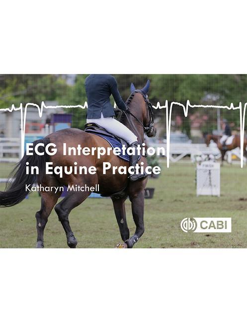 Kniha ECG Interpretation in Equine Practice Mitchell