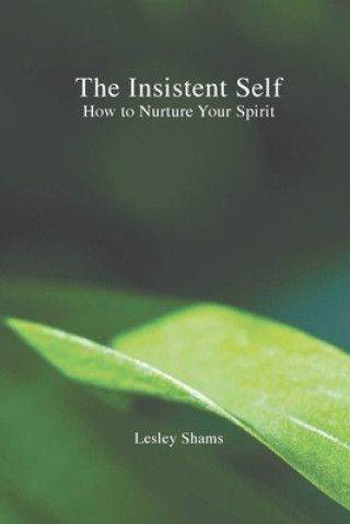 Книга Insistent Self Lesley Shams