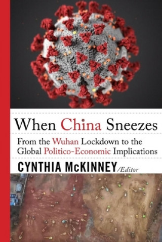 Kniha When China Sneezes 