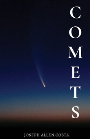 Книга Comets 