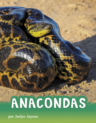 Livre Anacondas 