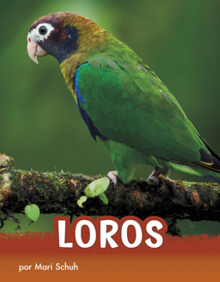 Buch Loros Aparicio Publishing Aparicio Publishing LLC