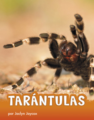 Book Tarántulas Aparicio Publishing Aparicio Publishing LLC