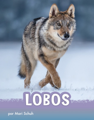Knjiga Lobos Aparicio Publishing Aparicio Publishing LLC