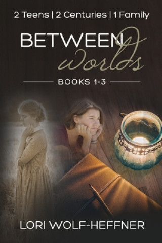 Livro Between Worlds Susan Fish