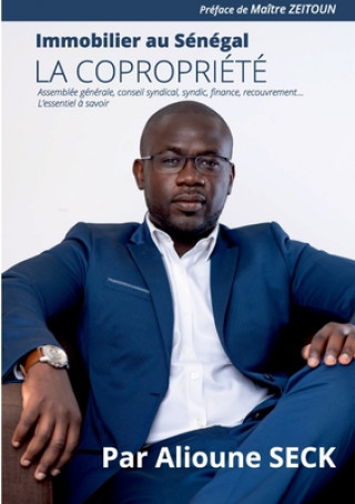 Kniha Immobilier au Senegal 