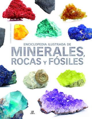Kniha Enciclopedia Ilustrada de Minerales, Rocas y Fósiles CARMEN MARTUL HERNANDEZ