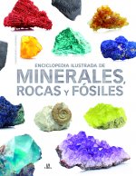 Carte Enciclopedia Ilustrada de Minerales, Rocas y Fósiles CARMEN MARTUL HERNANDEZ