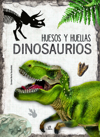 Kniha Dinosaurios CARMEN MARTUL HERNANDEZ