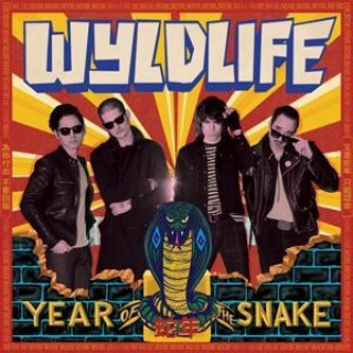 Audio Year Of The Snake 
