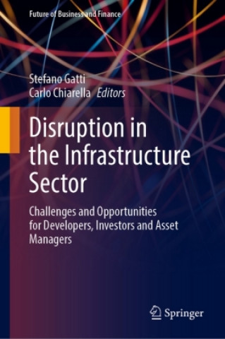 Kniha Disruption in the Infrastructure Sector Stefano Gatti