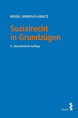 Kniha Sozialrecht in Grundzügen Michaela Windisch-Graetz