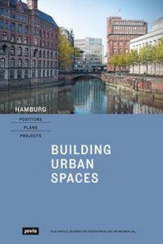 Knjiga HAMBURG POSITIONS PLANS PROJECTS Kleilein Doris